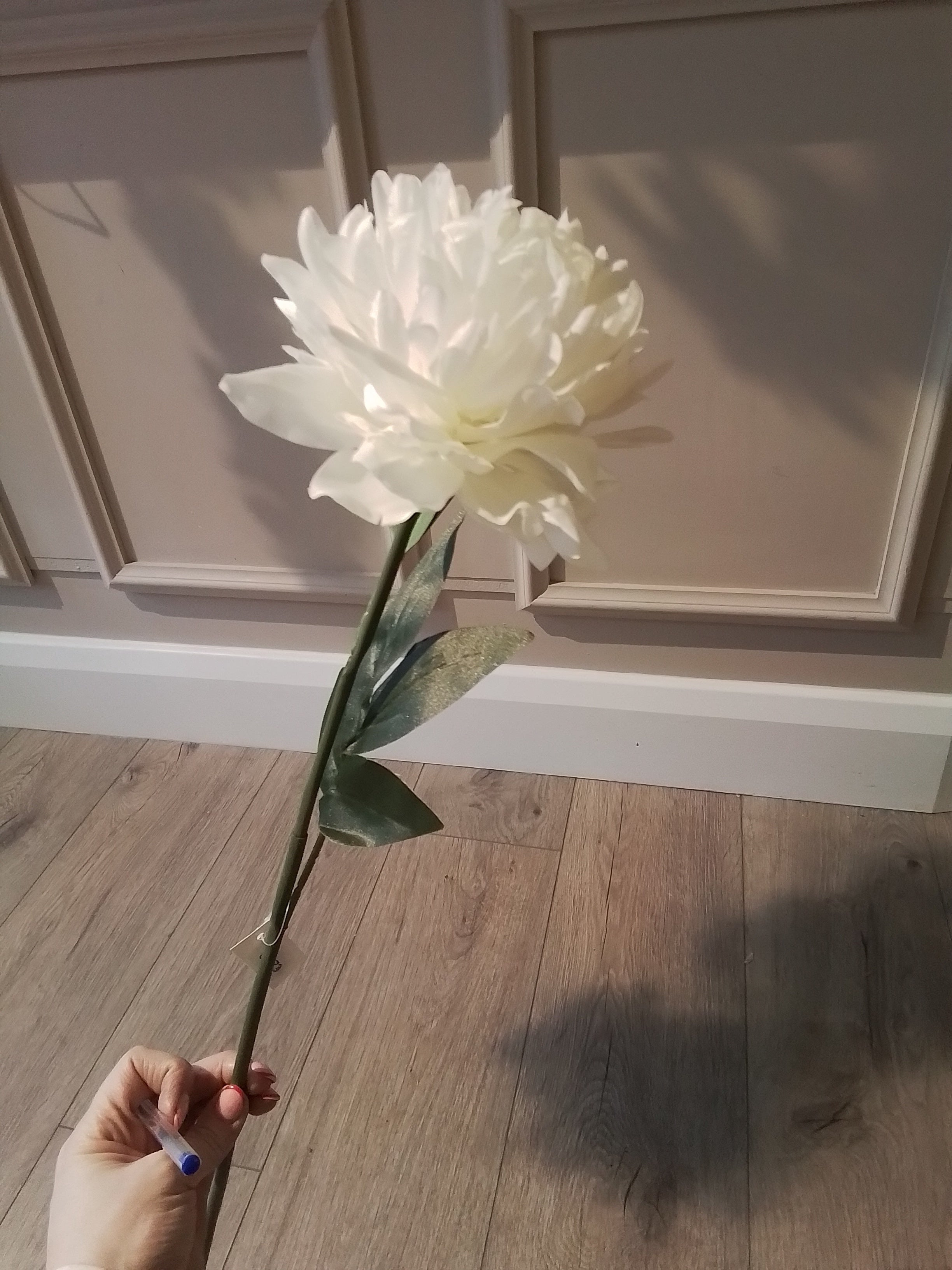 Spikey Stem Cream