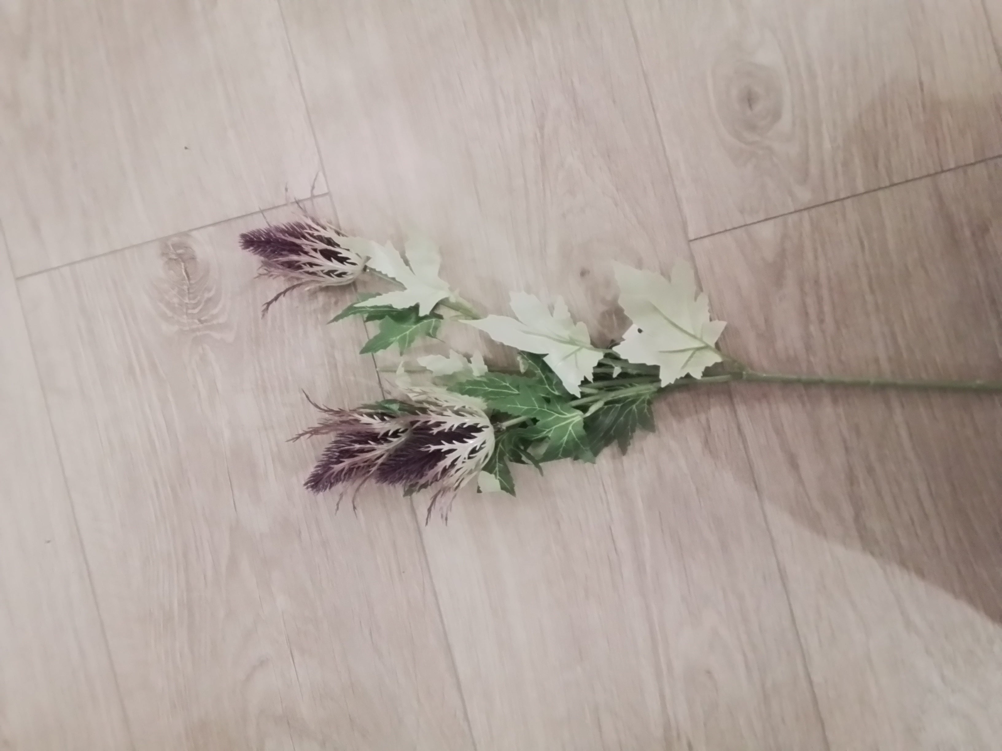 Eryngium Spray Purple