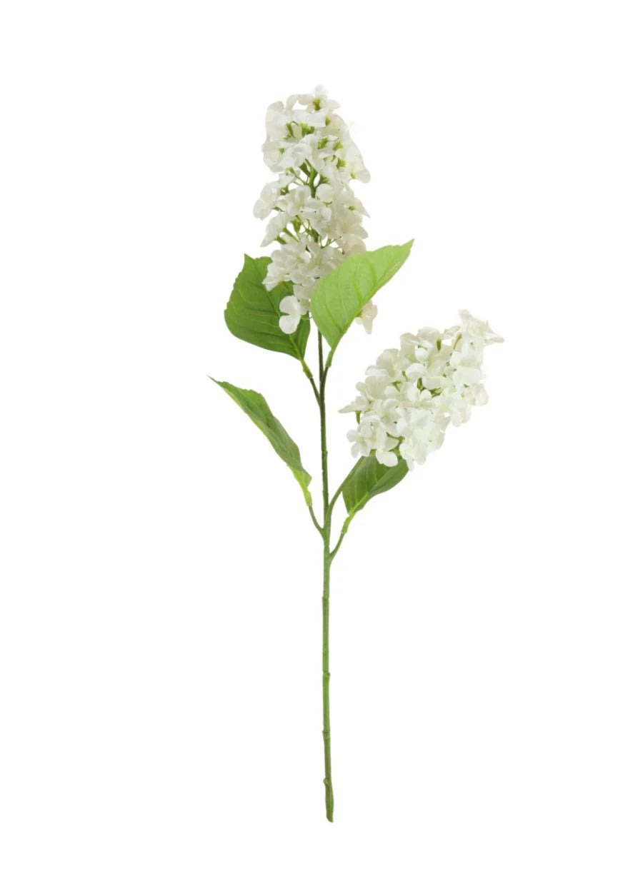 2 Head Paniculata Hydranga Ivory