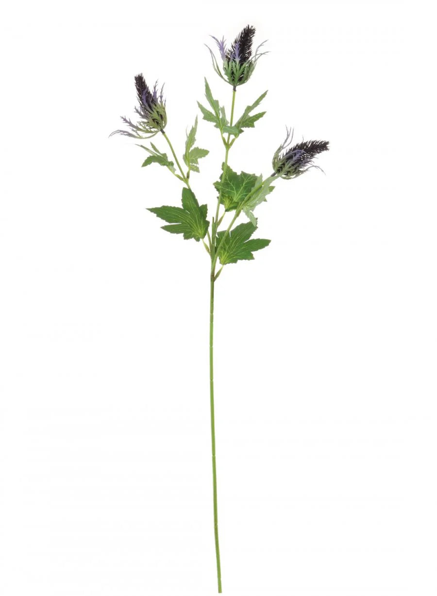 Eryngium Spray Purple