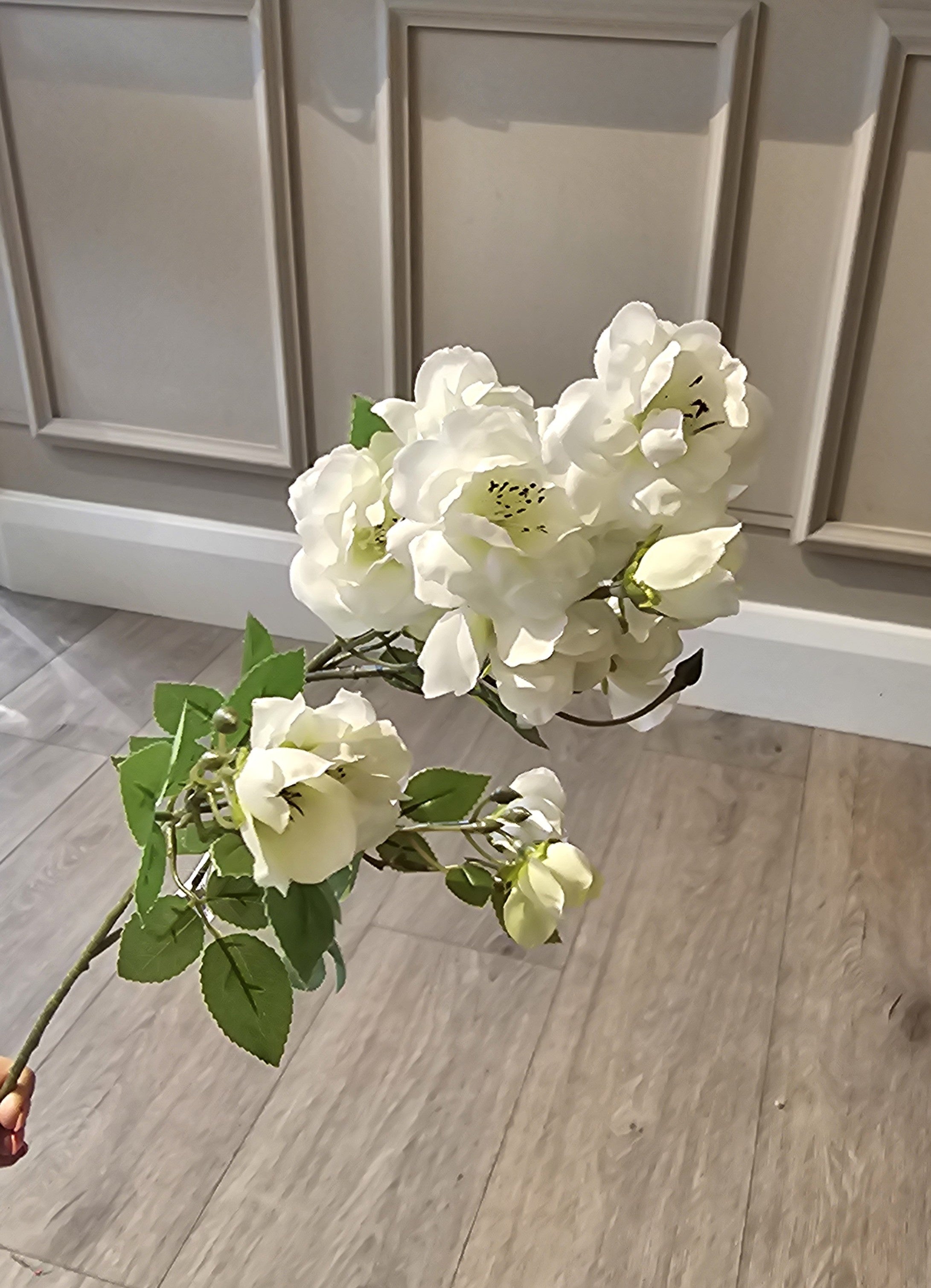 Bay Rose Cream