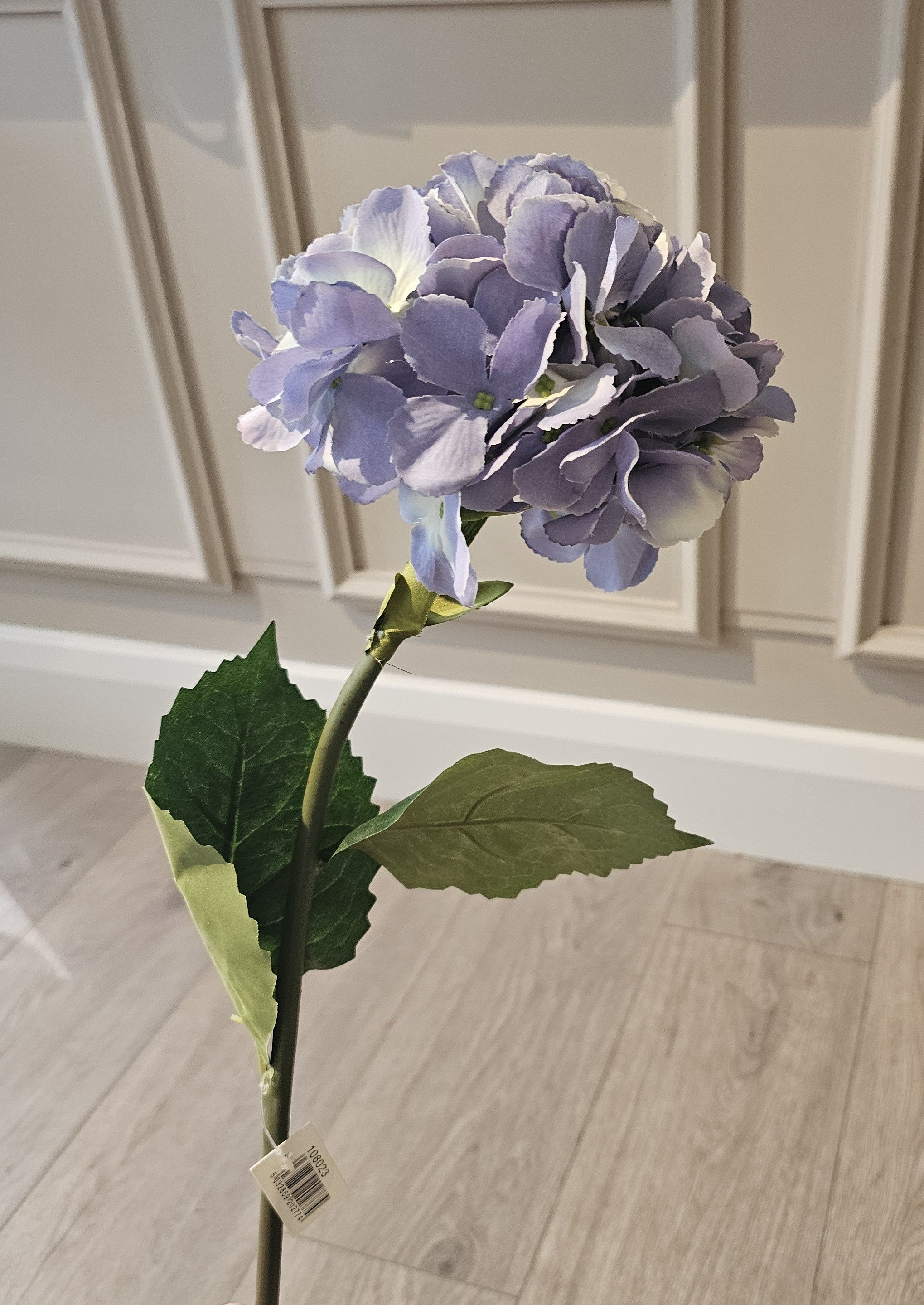 Hydrangea Ocean Blue
