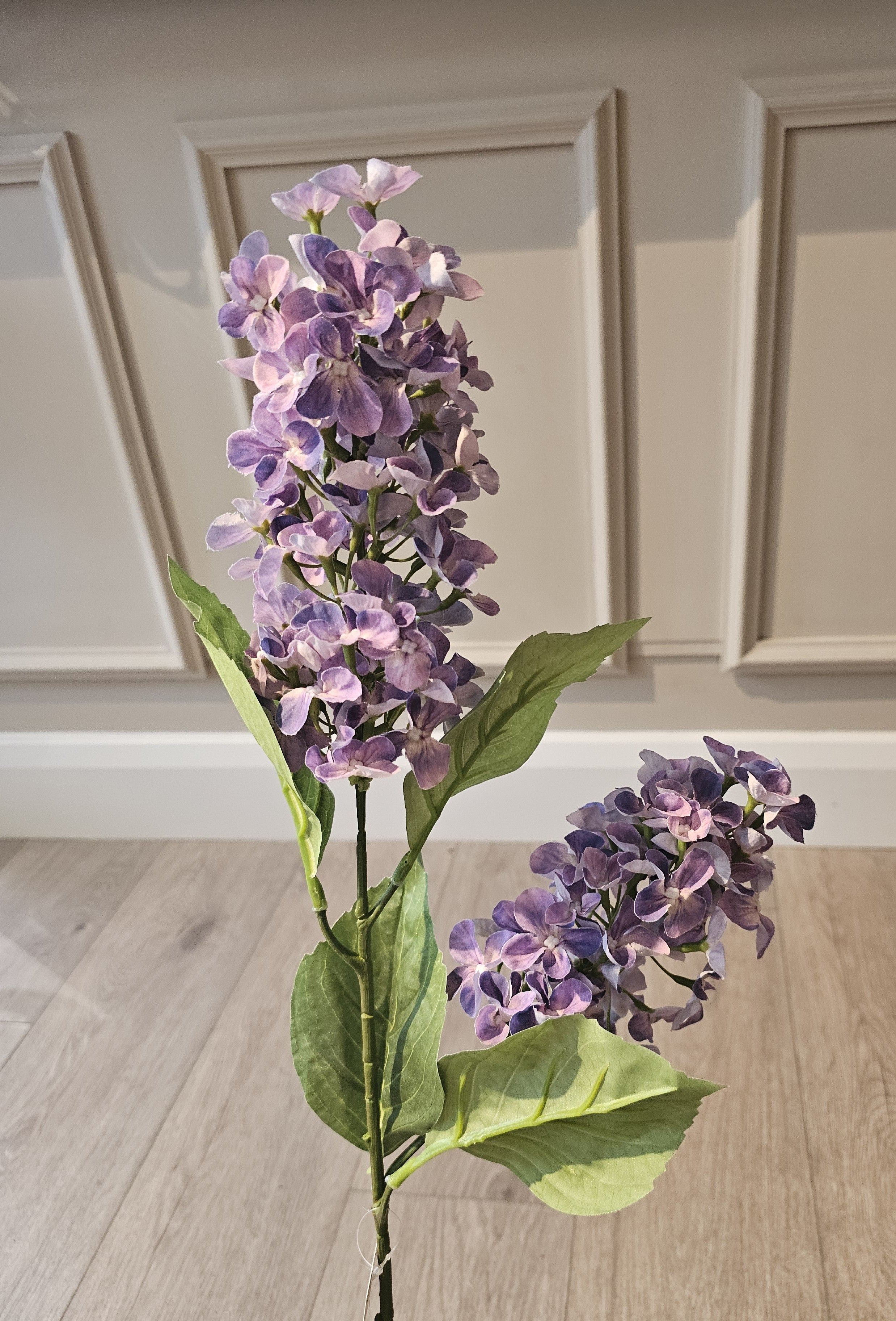 Paniculata Hydrangea Lilac