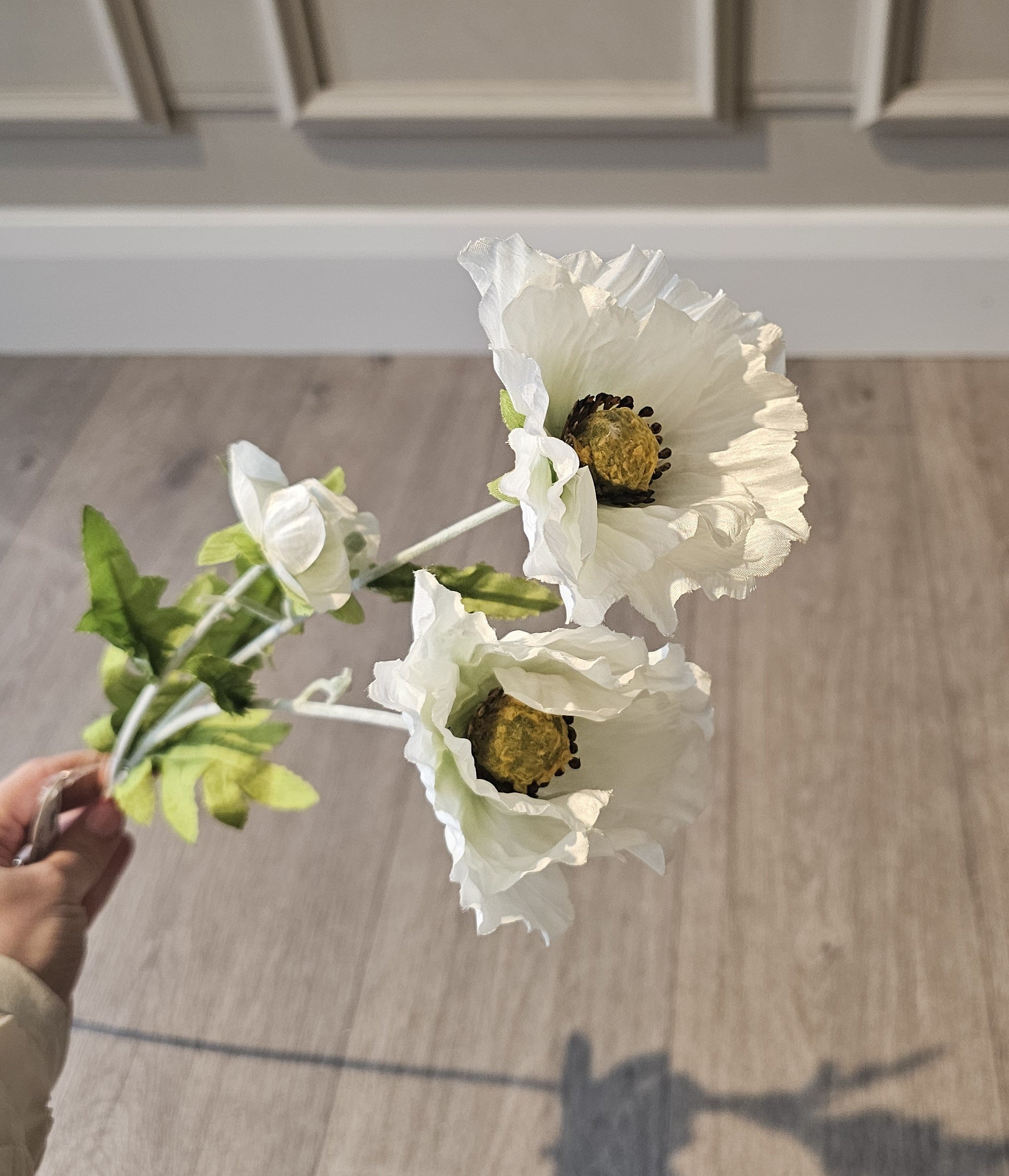 Country Poppy Ivory