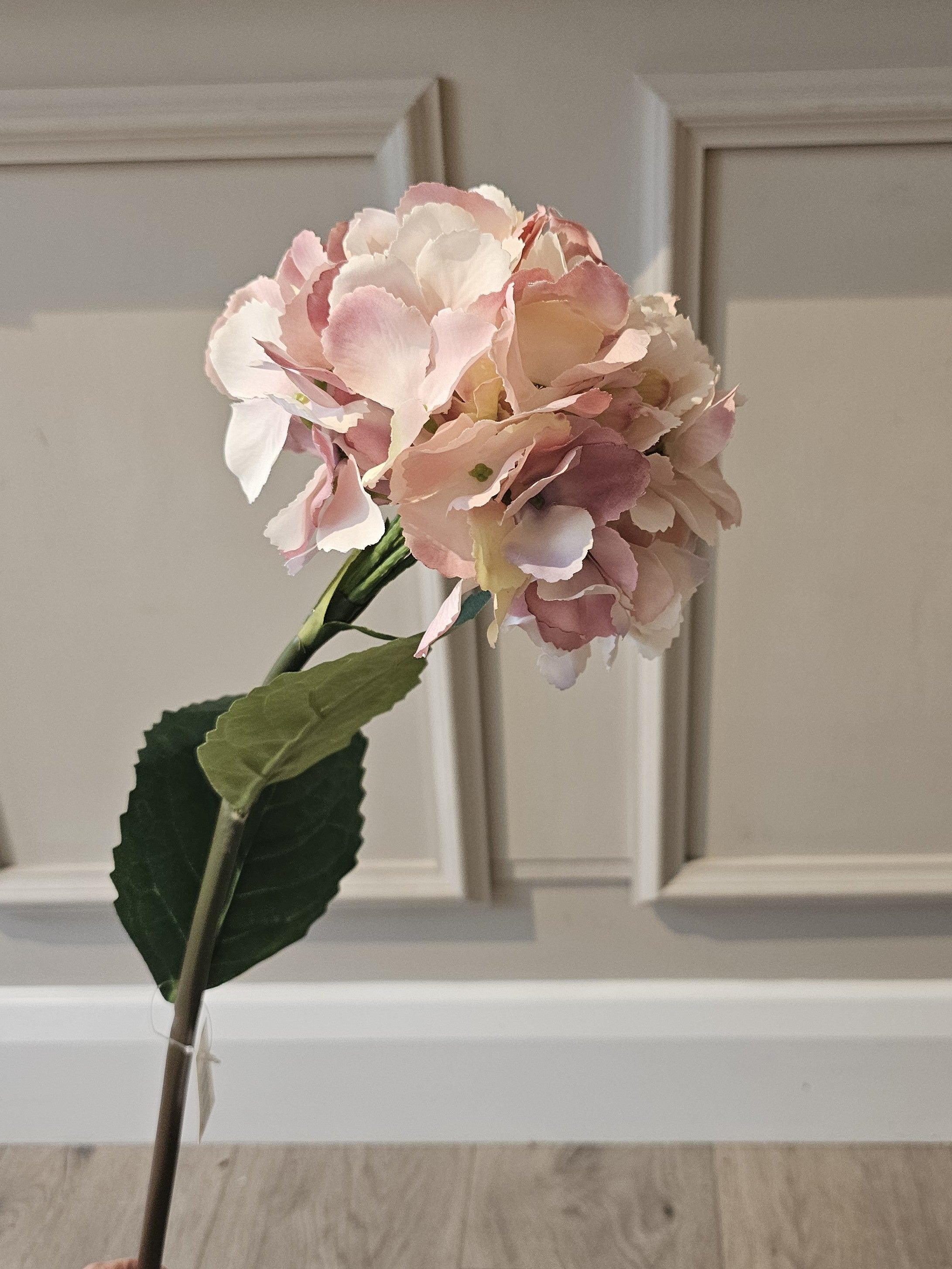 Hydrangea Dusty Pink