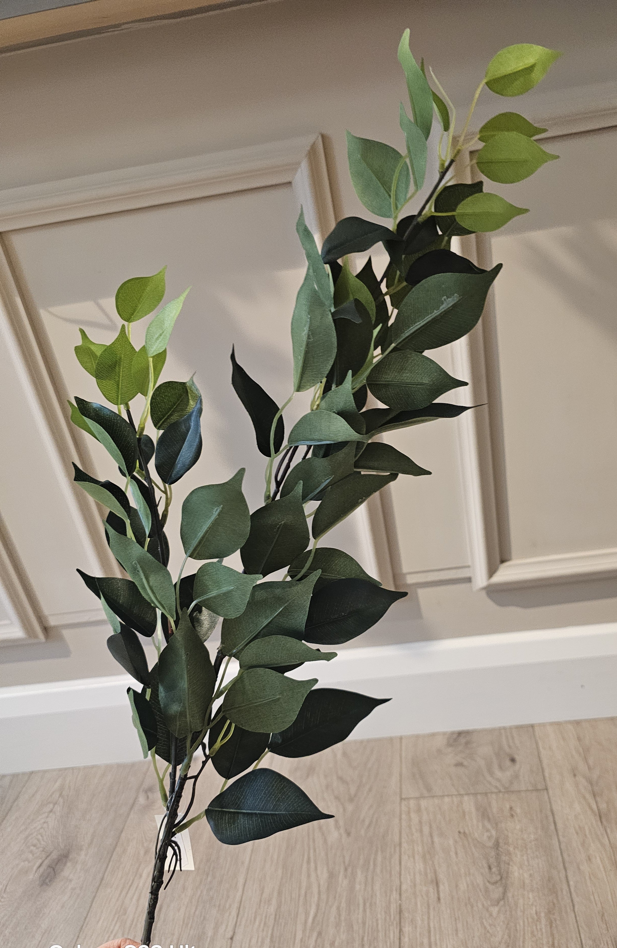 Small Bay Leaf Branch