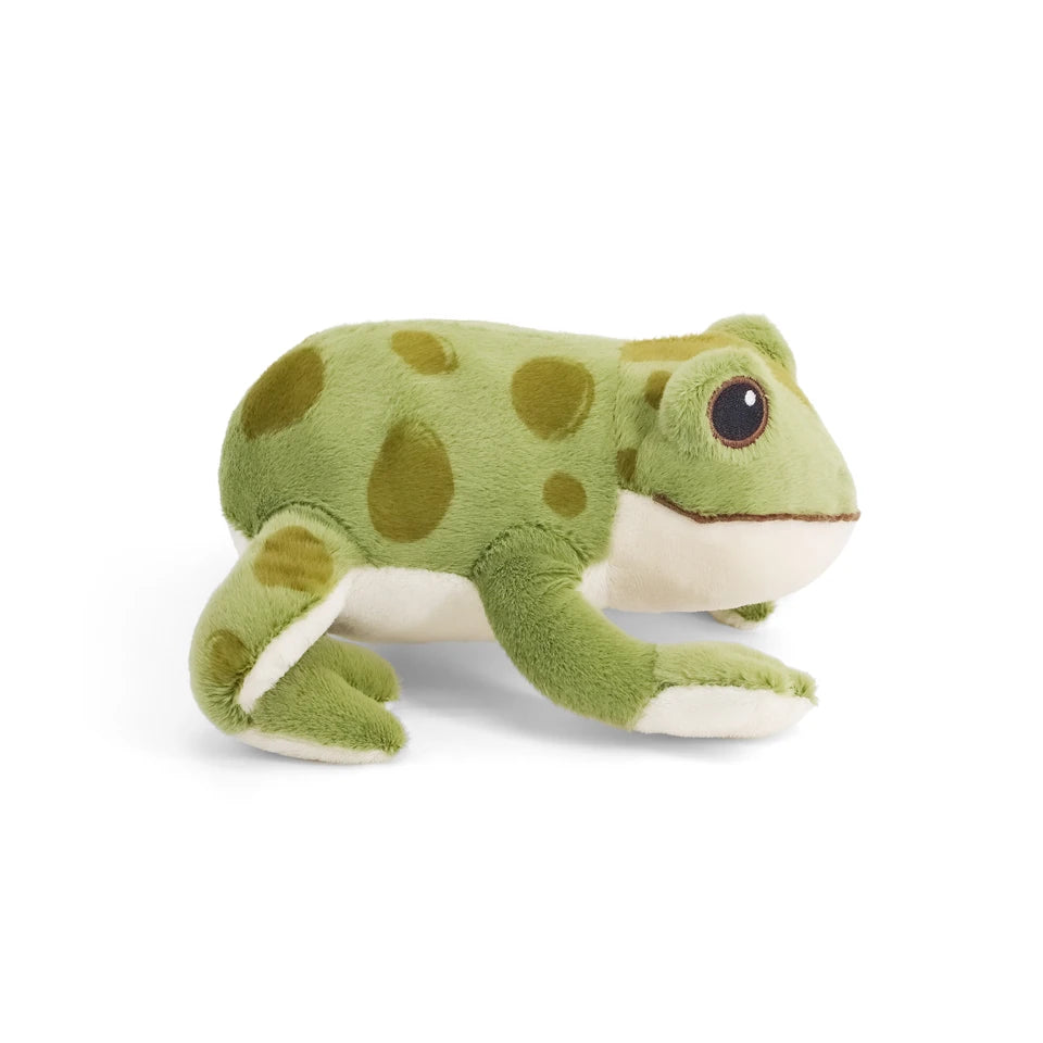 Frog Softie, Large