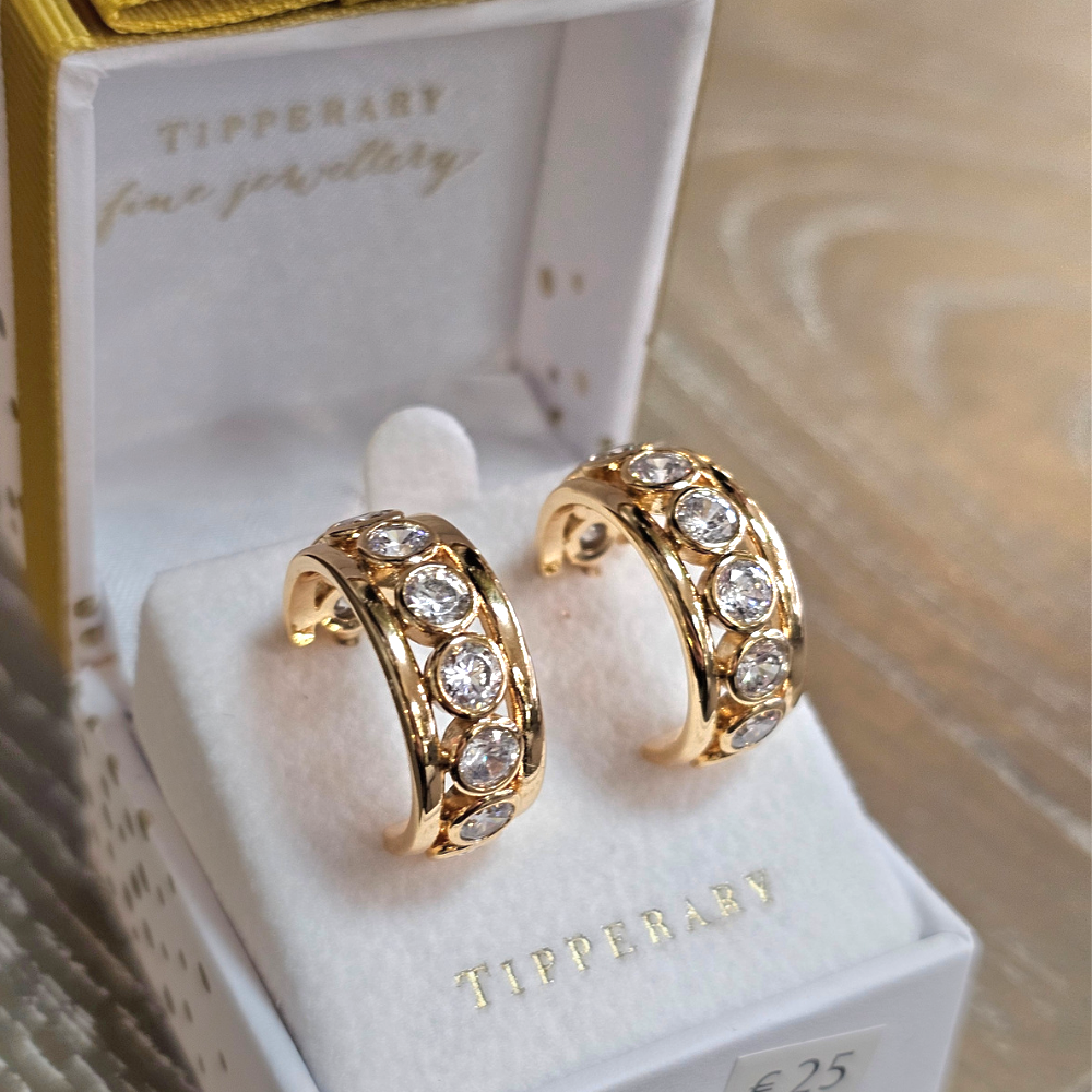 Crystal Set Hoop Earrings, Gold - The Gift & Art Gallery