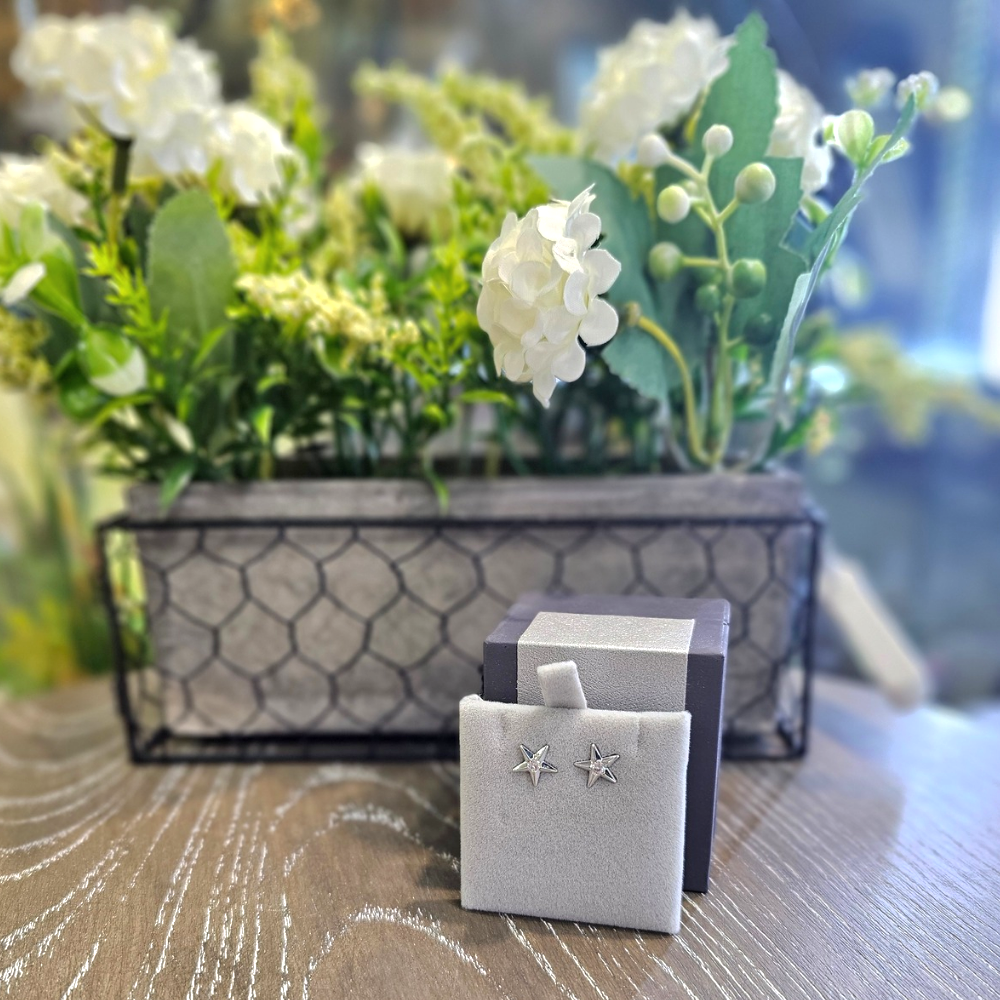 Silver Star Earrings - The Gift & Art Gallery
