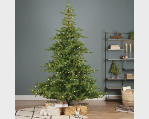 5200 LED Greenore Fir 8FT