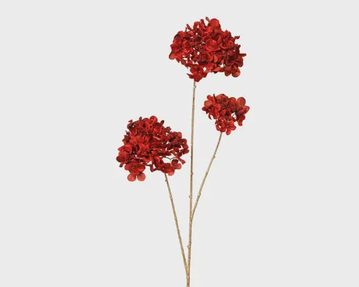 Red Hydrangea