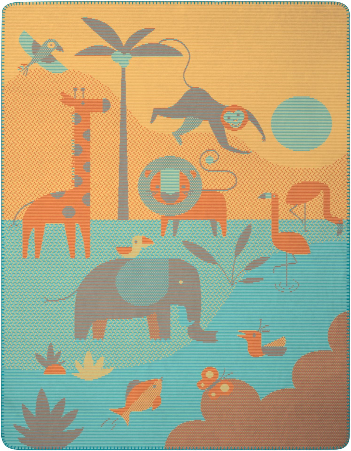 Expedition Baby Blanket