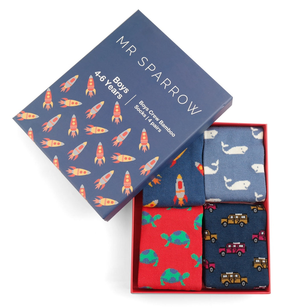 Little Prince Socks (4-6YR)