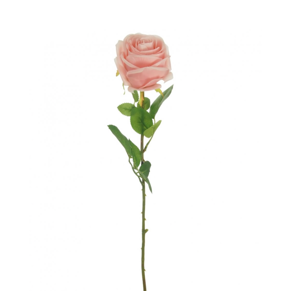 Harper Rose - Pale Pink - The Gift & Art Gallery