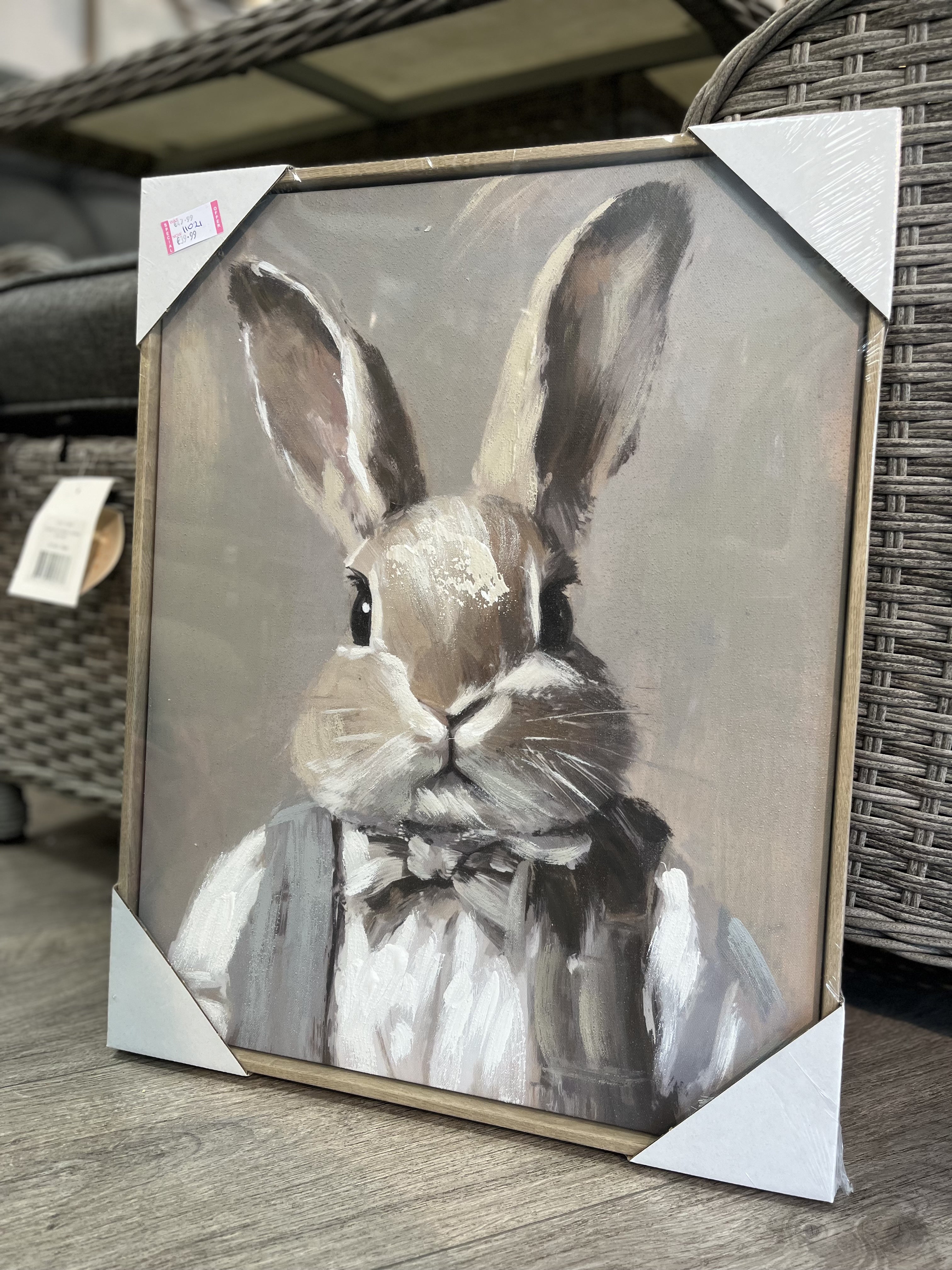 Dapper Rabbit Portrait