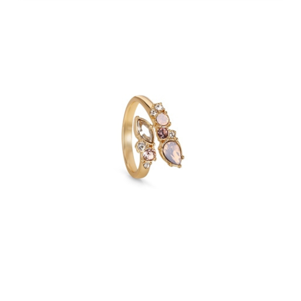 Ring With Mixed Stones - The Gift & Art Gallery