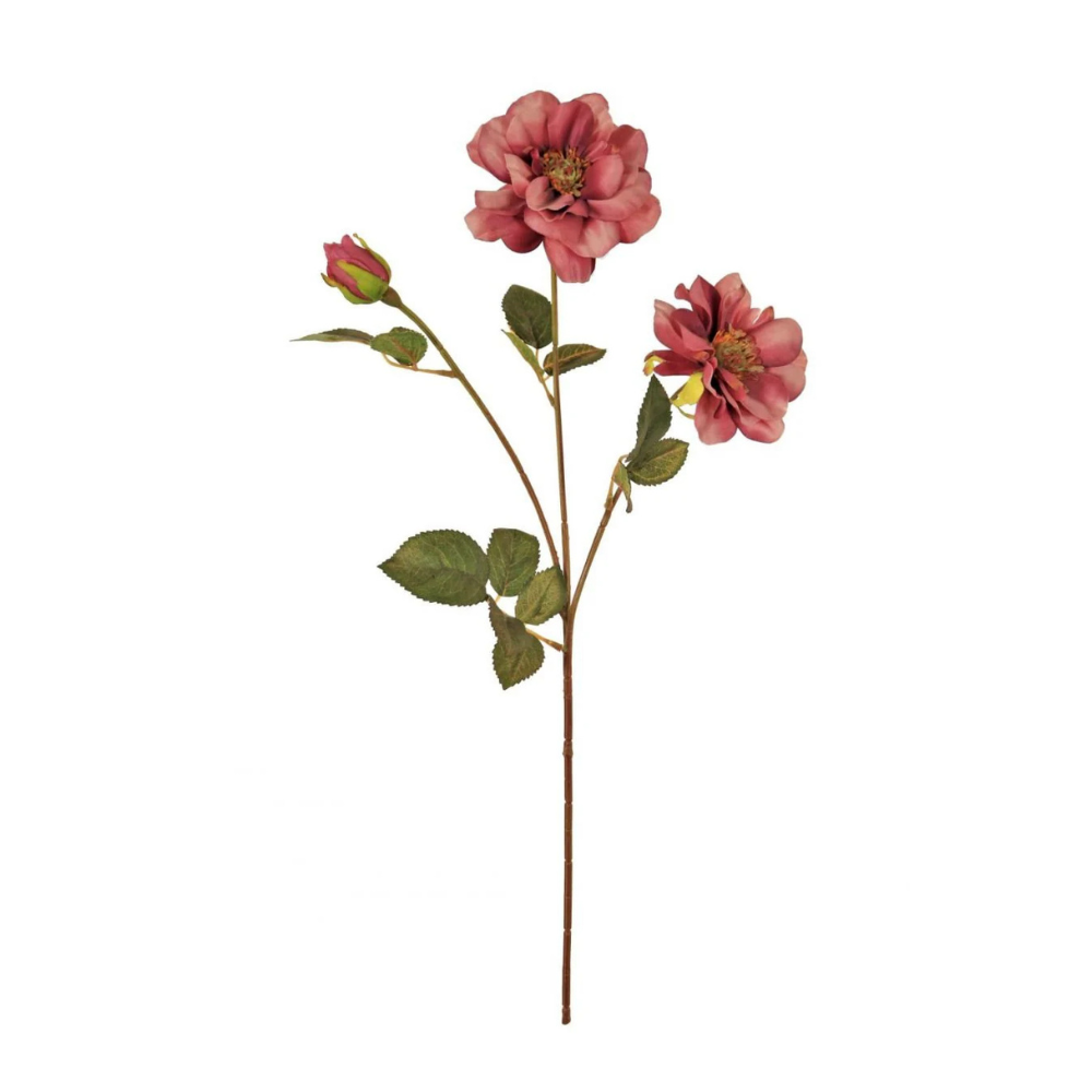 Waterlily Dahlia Spray Blush