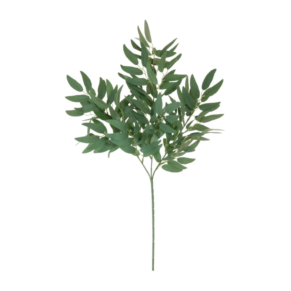 Soft Ruscus Leaf Stem Pale Green