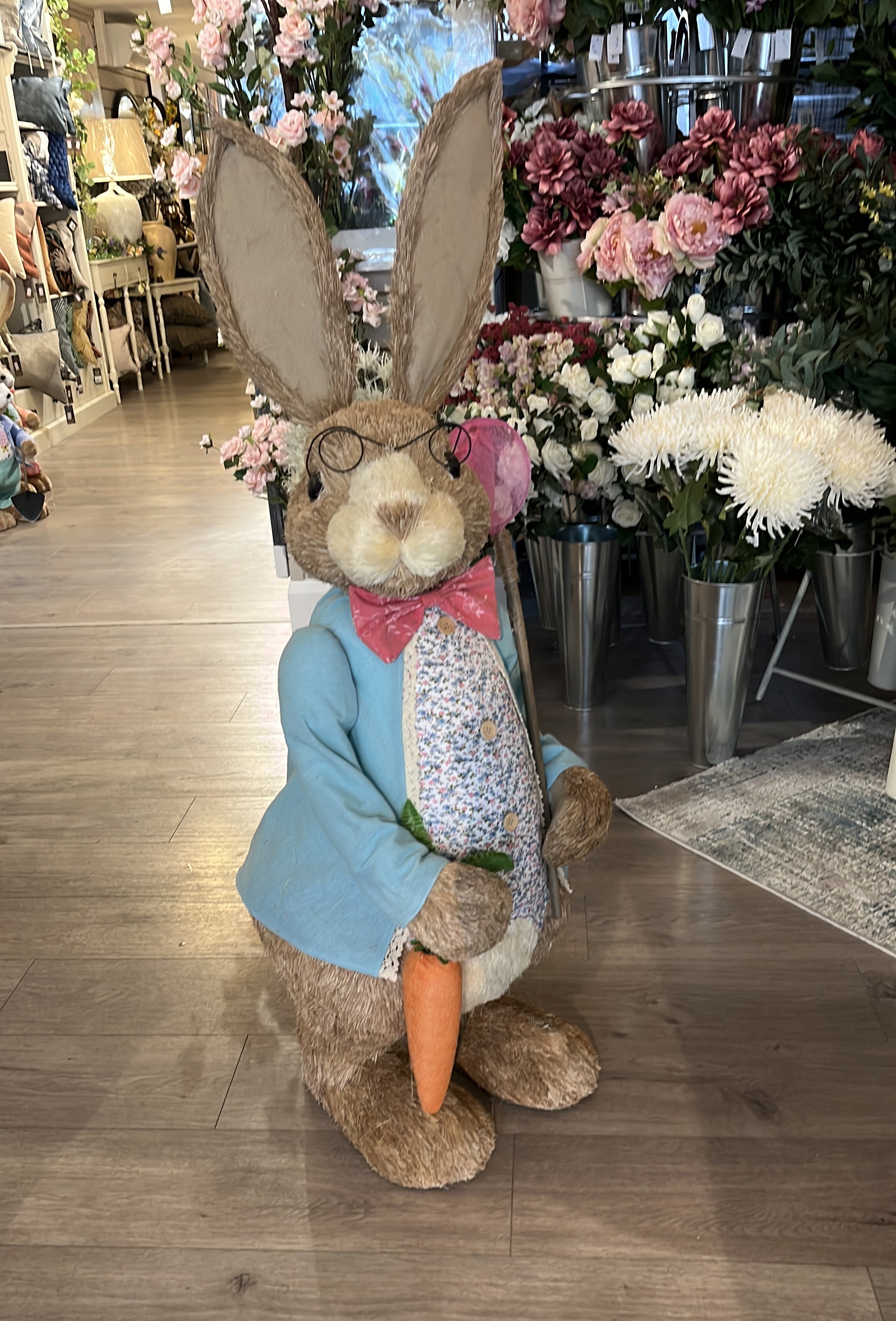 Mr Peter Rabbit X-Large
