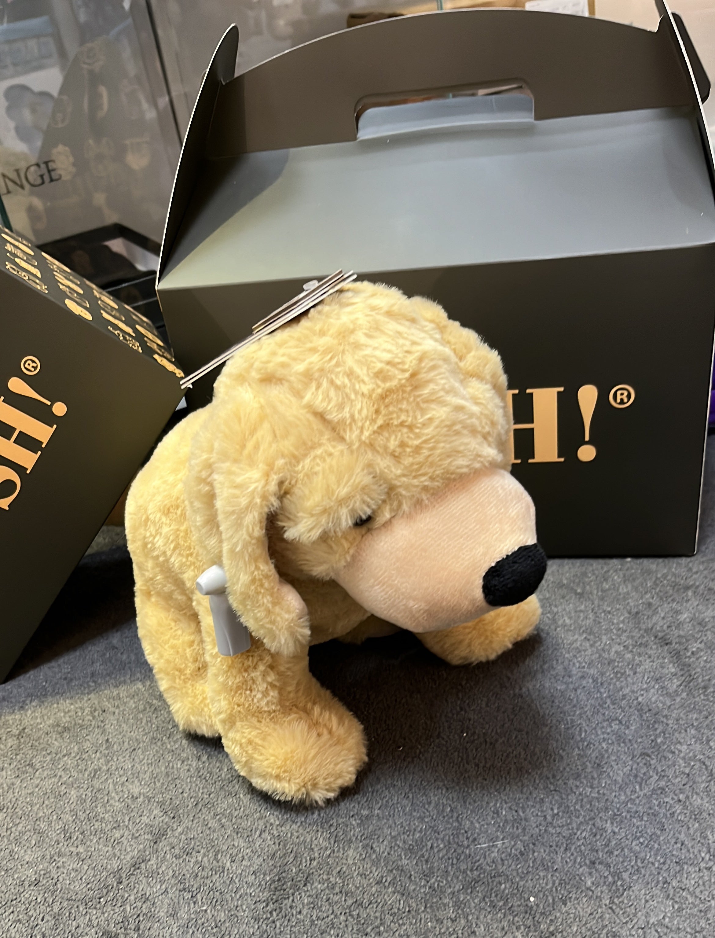 GOSH! LABRADOR SOFTIE 30CM -