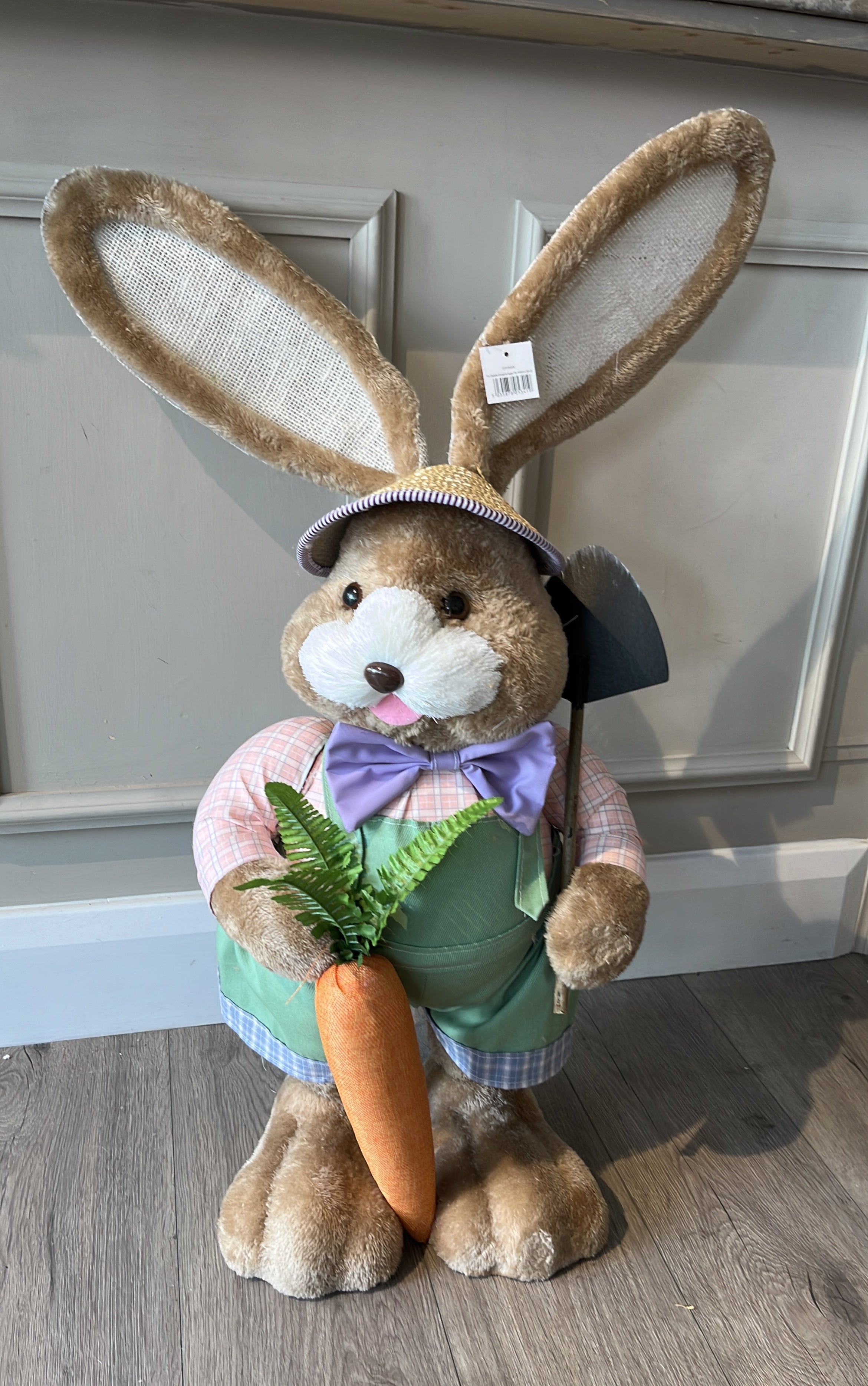 Mr Donald Bunny
