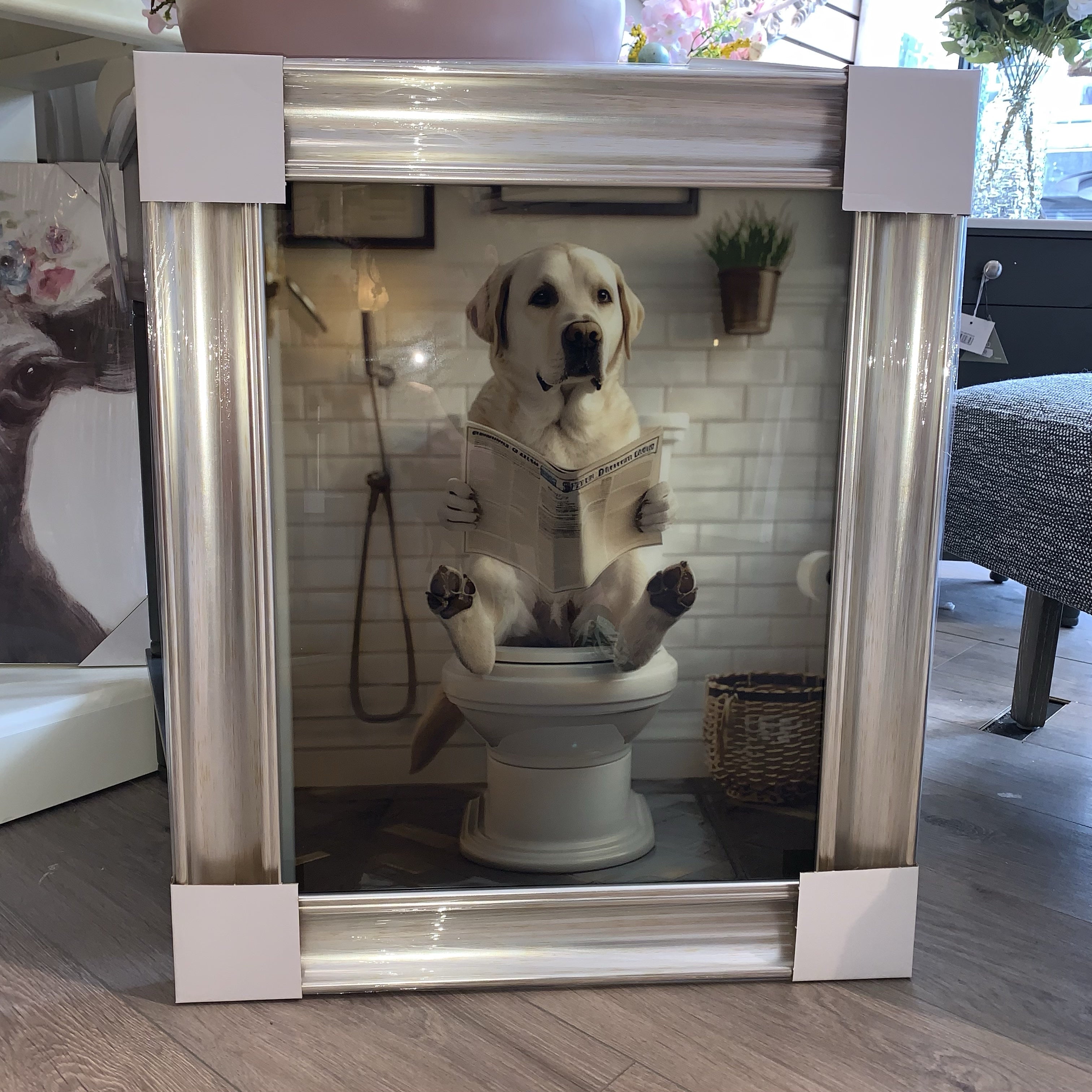 Labrador on Toilet