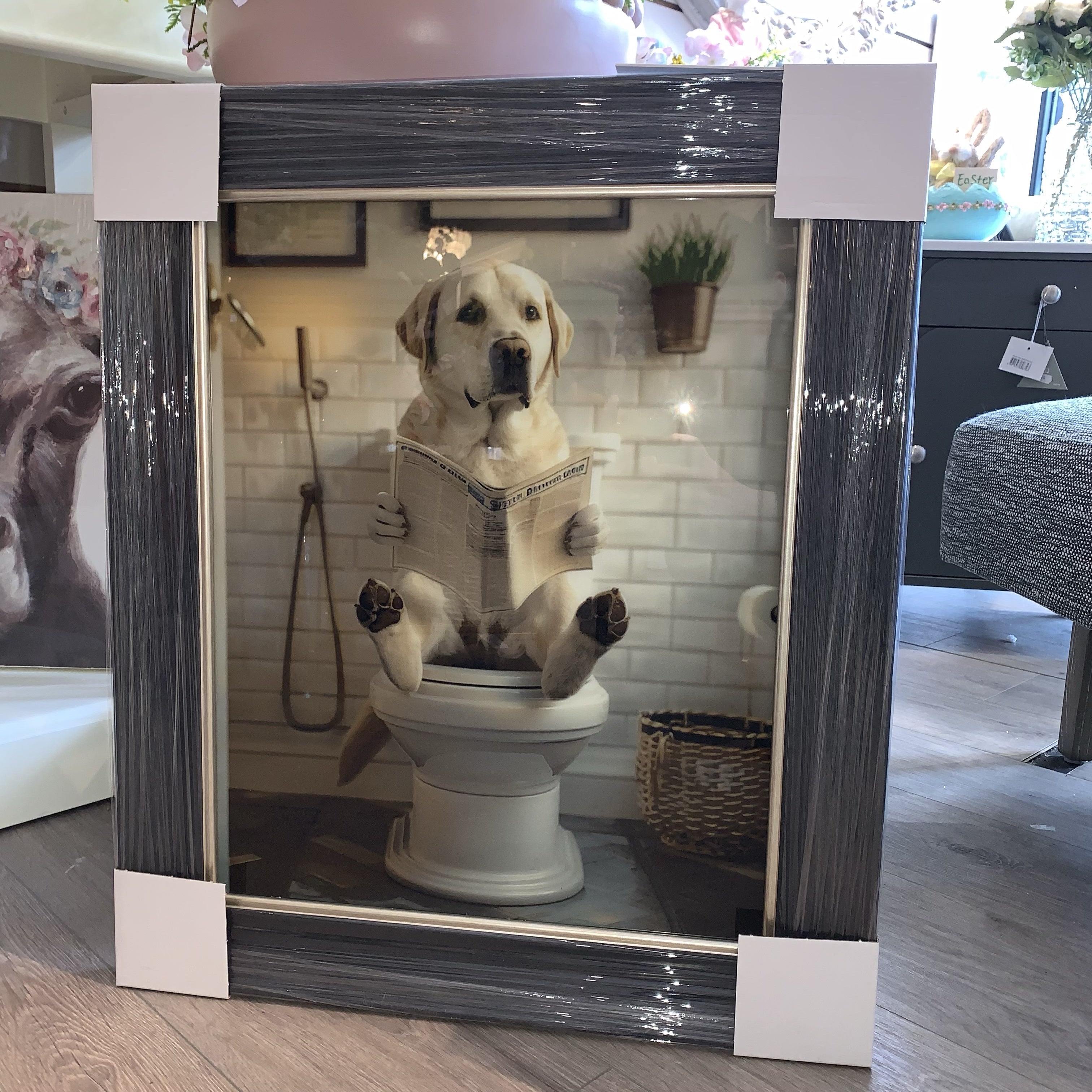 Labrador on Toilet - Grey Frame