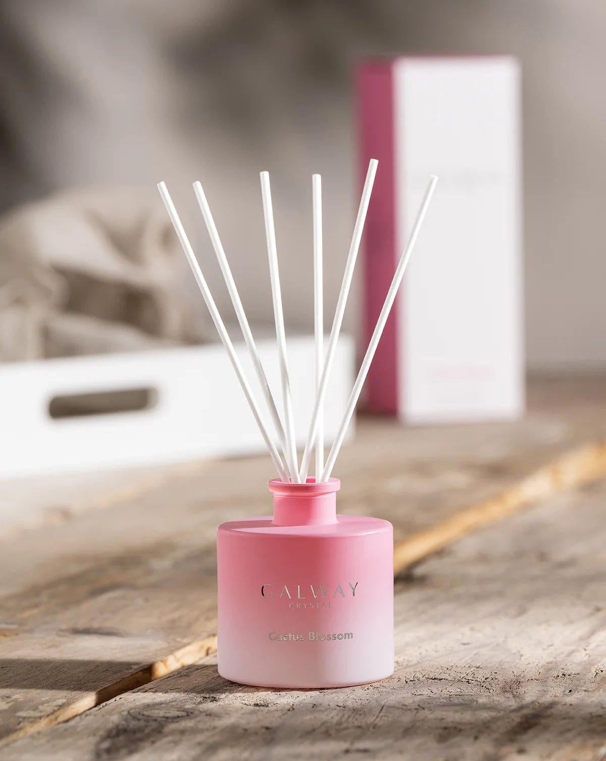Cactus Blossom Fragrance Diffuser