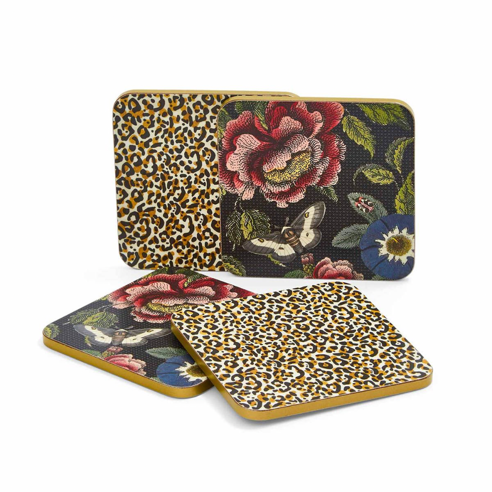 Creatures of Curiosity Set of 4 Coasters - The Gift & Art Gallery