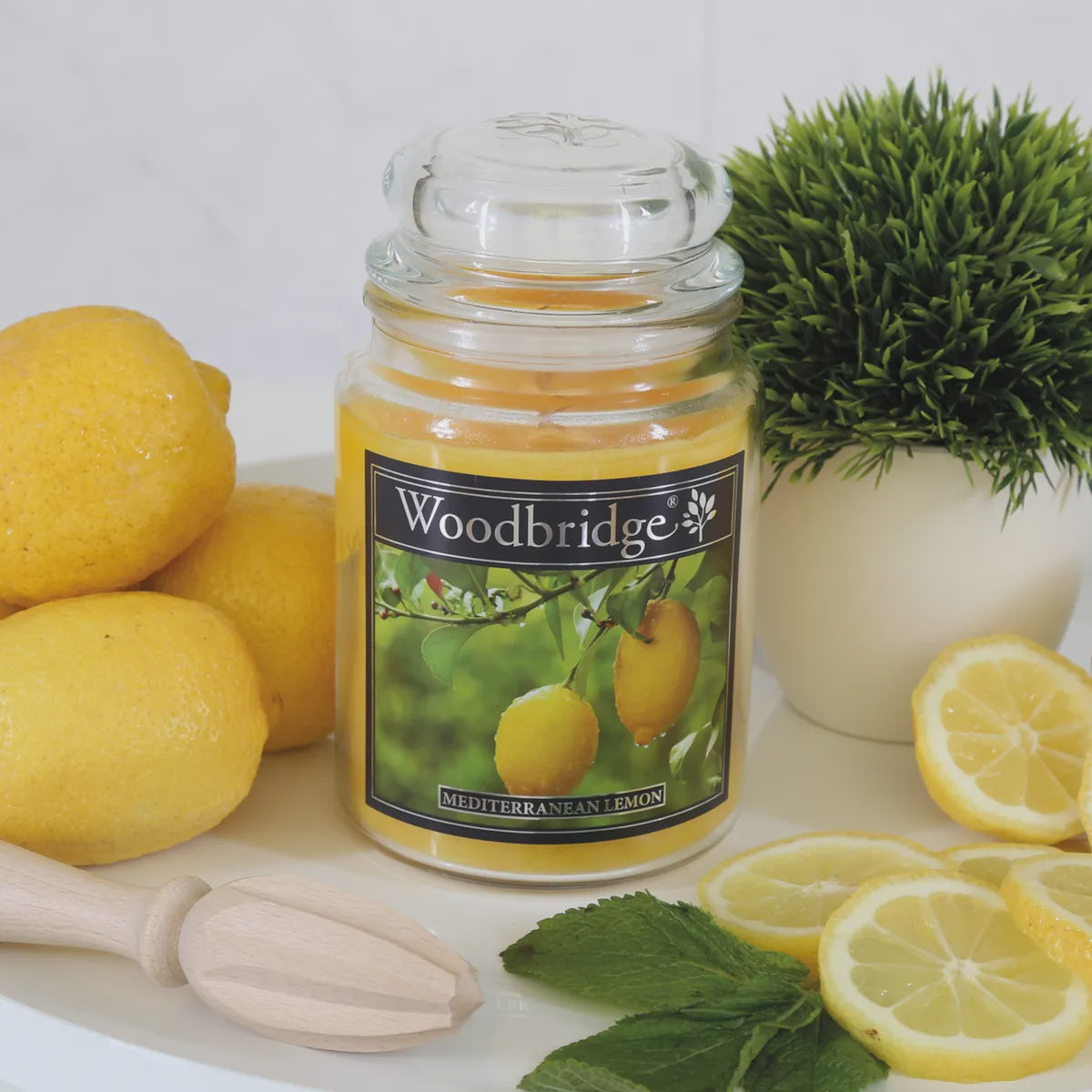 Mediterranean Lemon Large Scented Candle Jar
