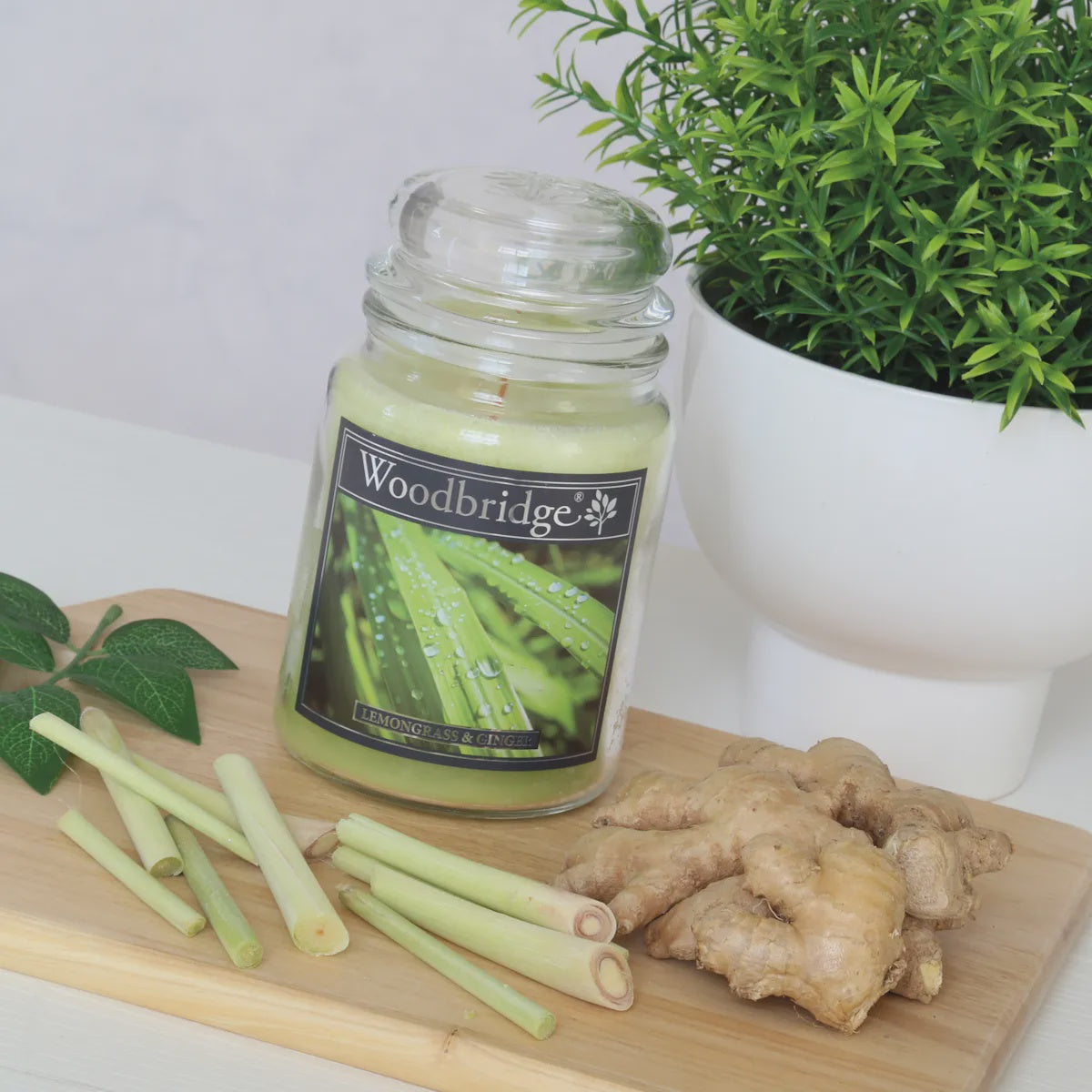 Lemongrass & Ginger Large Scented Candle Jar