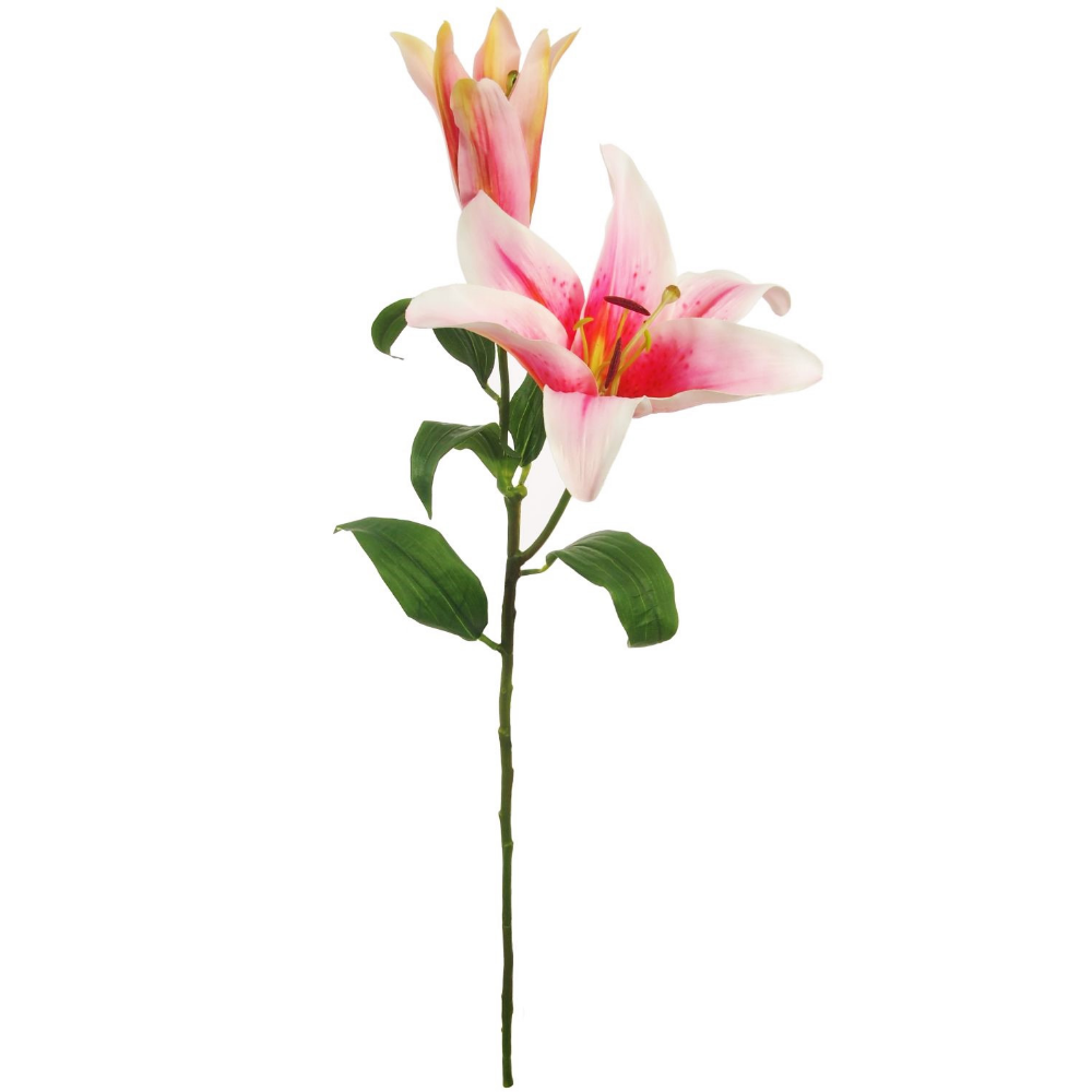 Stargazer Lily, Pink - The Gift & Art Gallery
