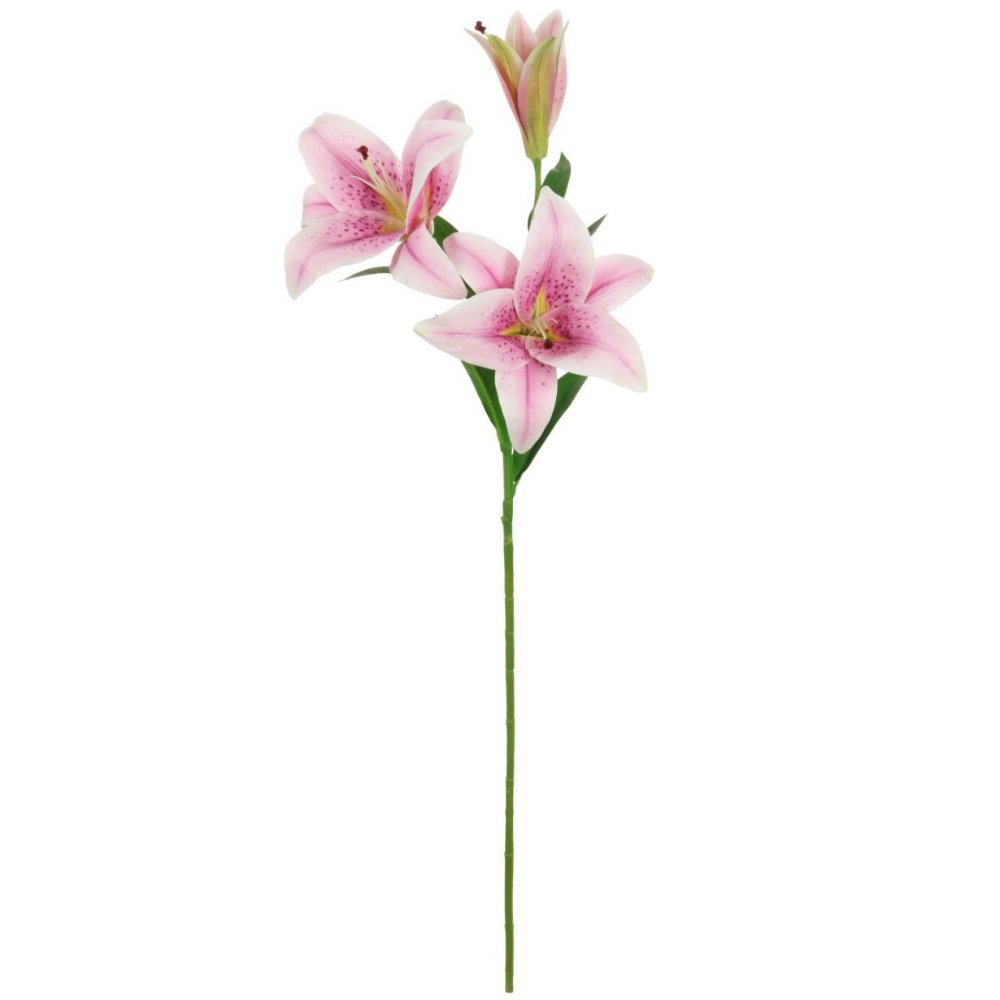 Asiatic Lily, Pink/Lilac - The Gift & Art Gallery