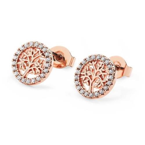 Rose Gold Tol in Czs Circle Stud Earrings