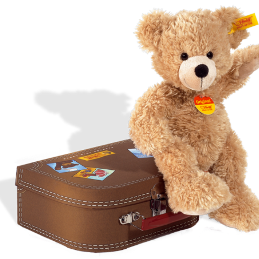 Fynn Teddy Bear in Suitcase - The Gift & Art Gallery