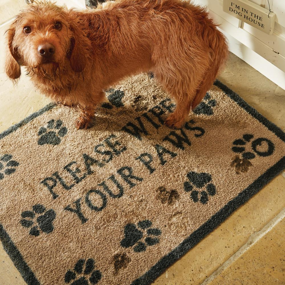 Pet 10 Rug