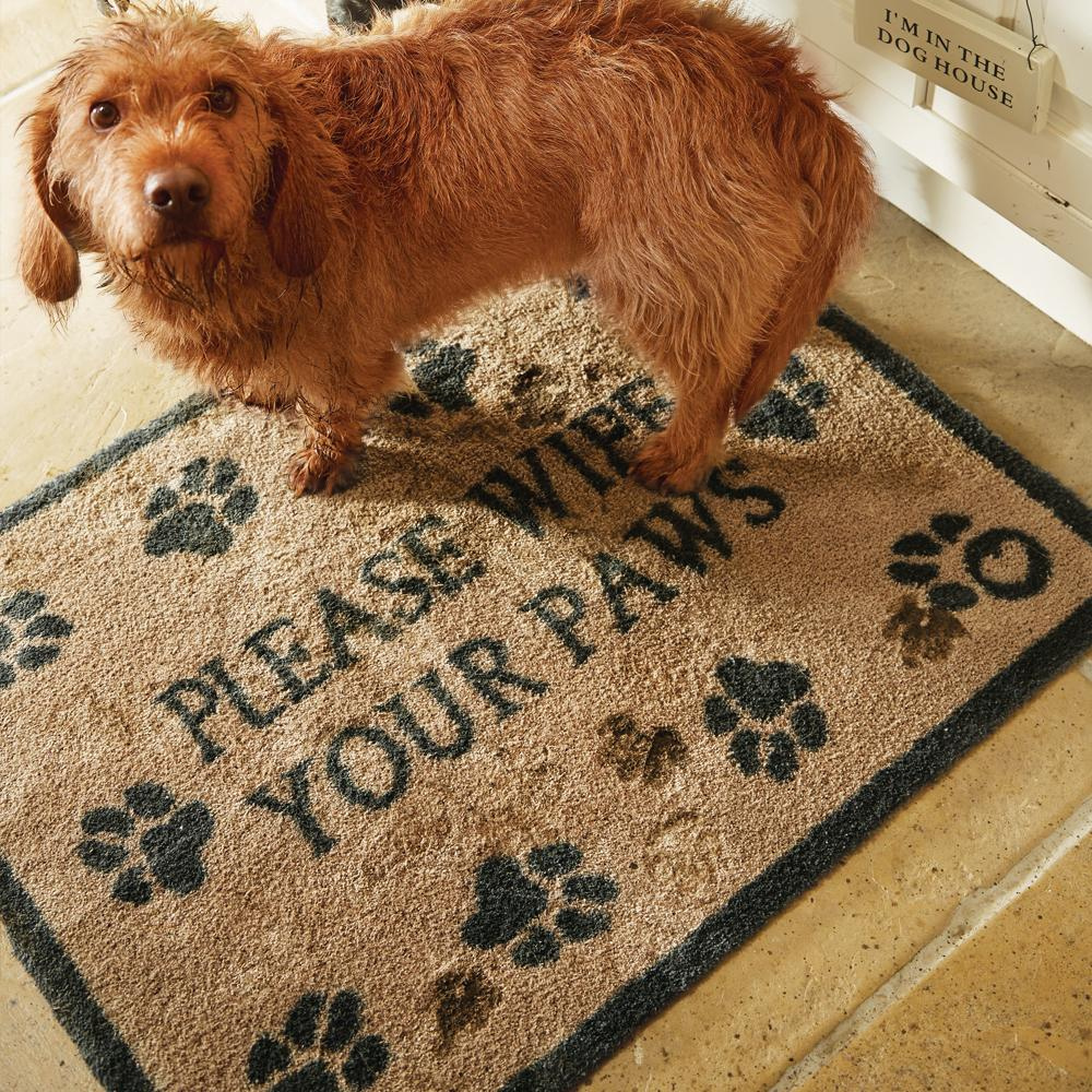 Pet 10 Rug - The Gift & Art Gallery