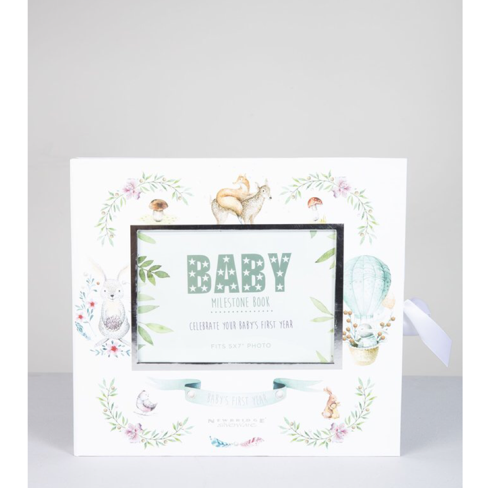 Baby Milestone Book