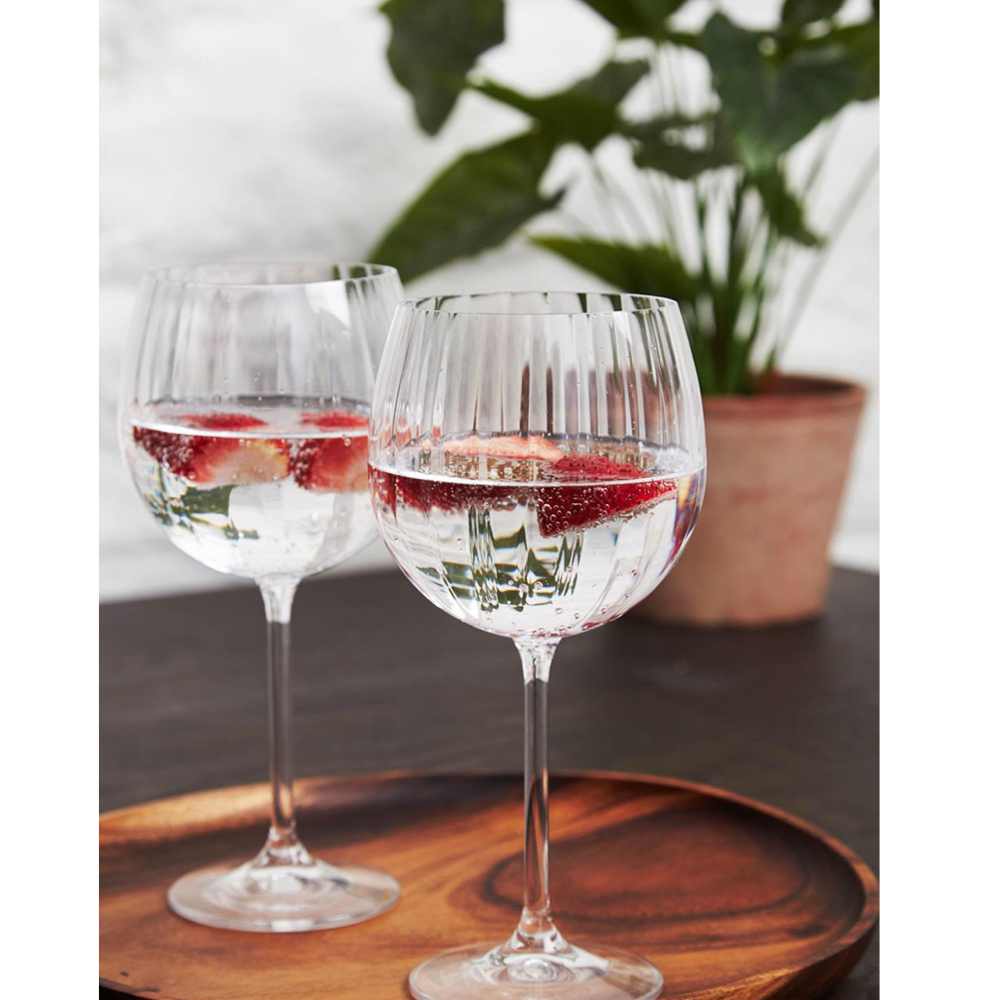 Erne Gin & Tonic Pair