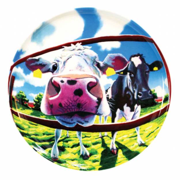 Eoin O' Connor Set of 4 Biscuit Plates - The Gift & Art Gallery