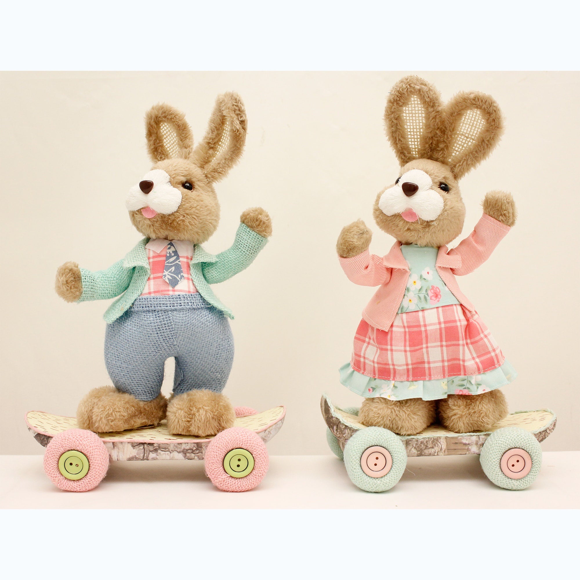 Bunny on Skateboard Boy