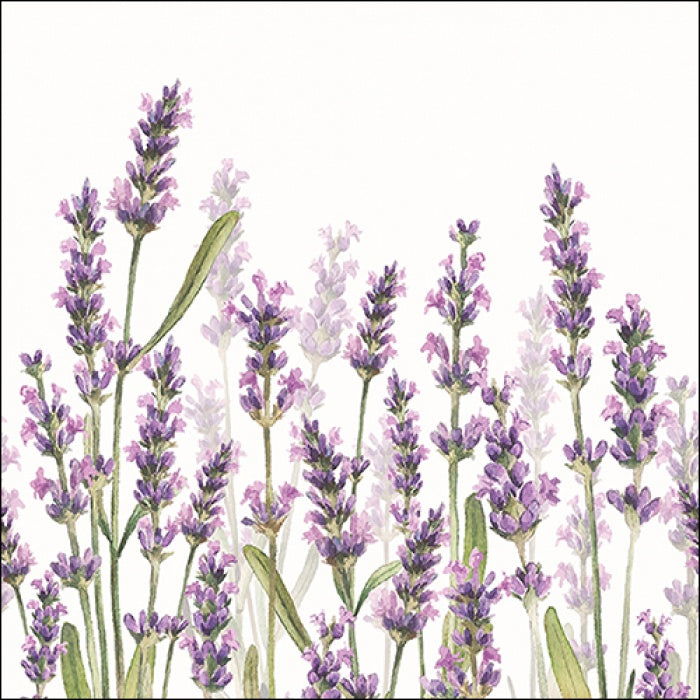 Lavender shades Napkin