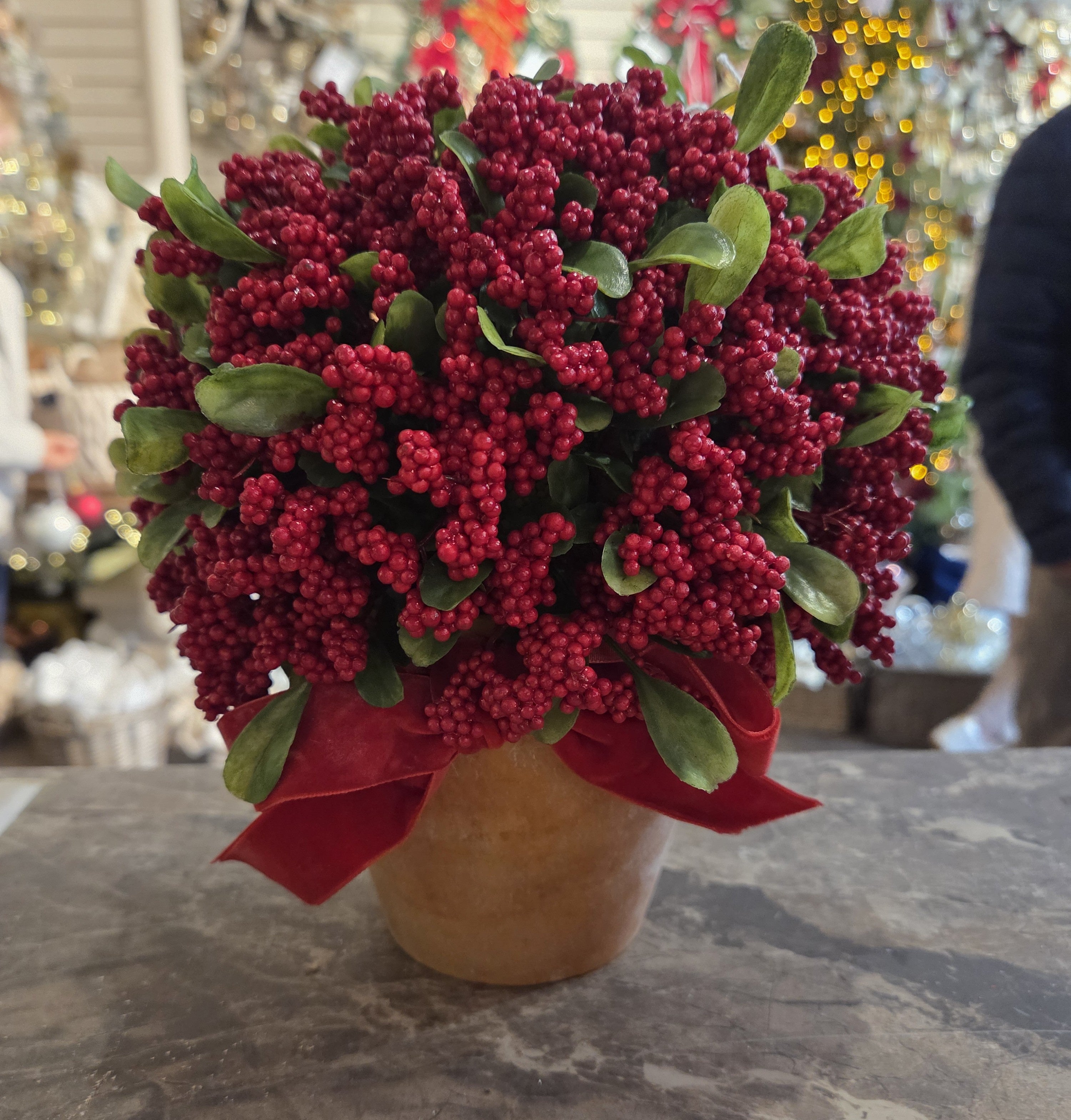 Berry Bonanza Pots, 23cm