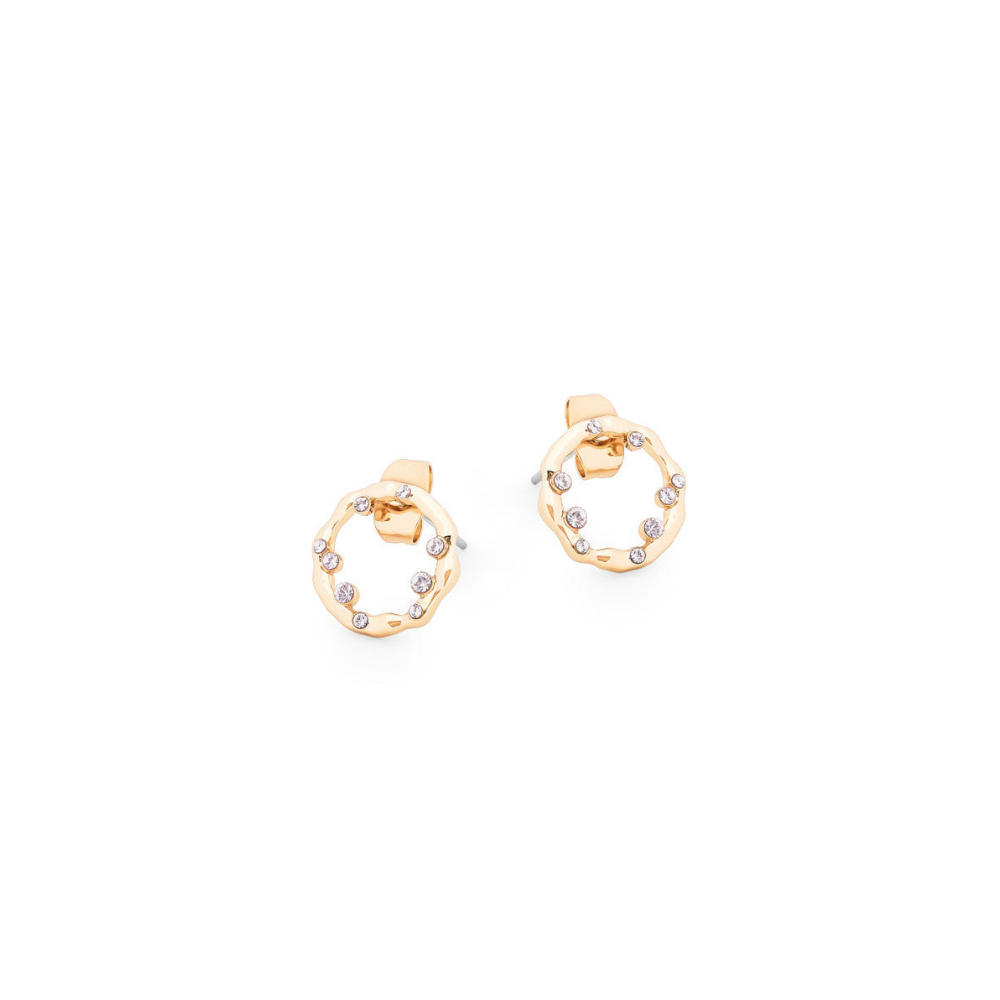 Hoop Collection Earrings, Gold