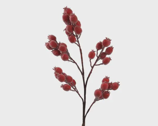 Berry Bunch Spray