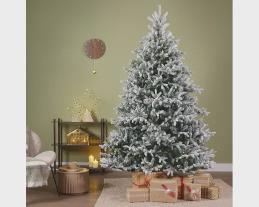 Snowy Norway Fir 6FT