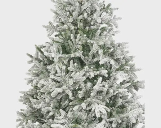 Snowy Norway Fir 7FT