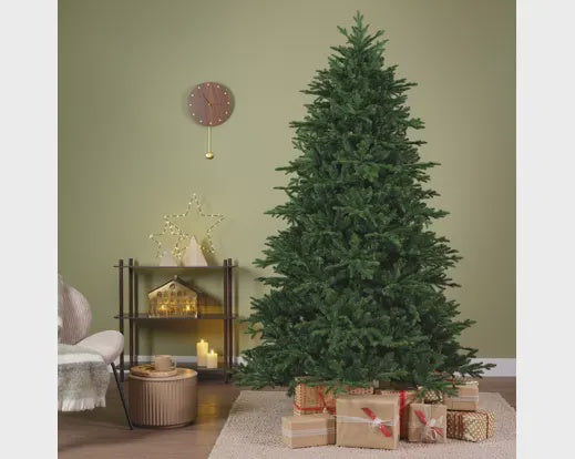 Aughrim Fir