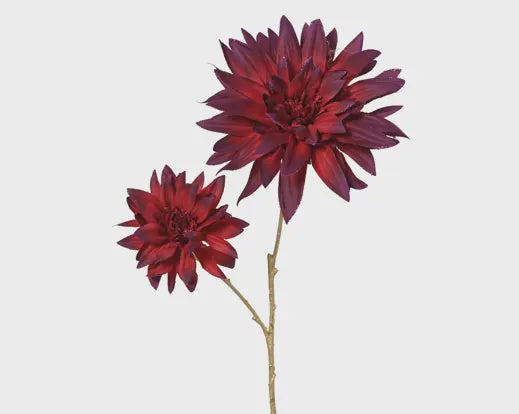 OxBlood Dahlia Spray
