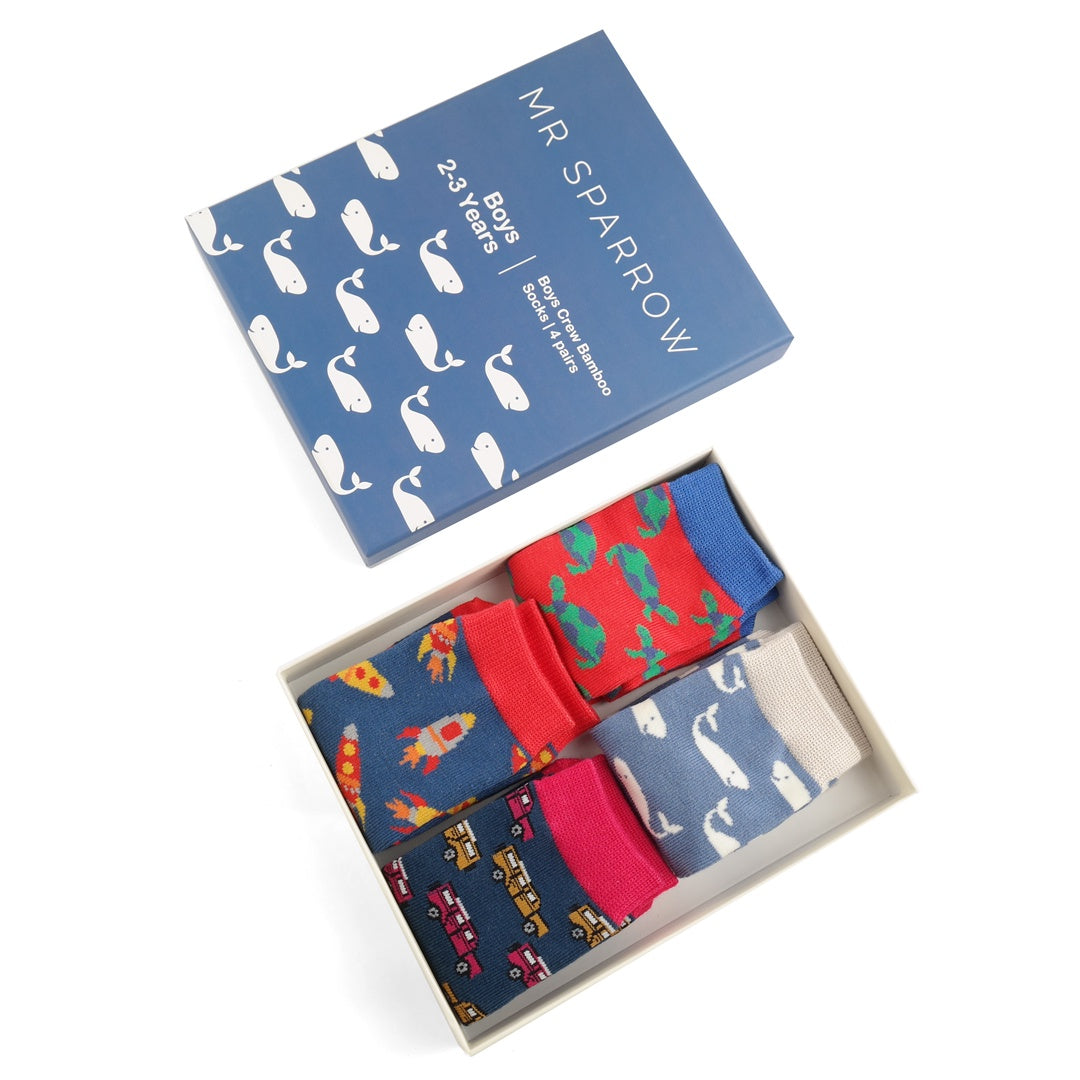 Little Prince Sock (2-3YR)